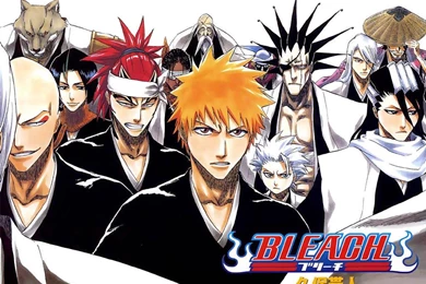 Best Anime Wallpaper: Bleach 981408 Anime