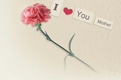 Hd 1280x800 I Love You Mother: Rose For Mother Day Desktop ...