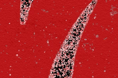 My Lucky Number Is 7 Wallpapers