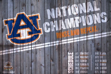 Bedroom Wallpapers HD Wallpapers Wonderful 1044   BohatyBohaty