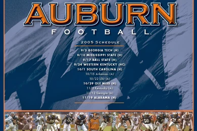 Auburn Football Wallpapers   Beautiful Desktop Wallpapers 2014