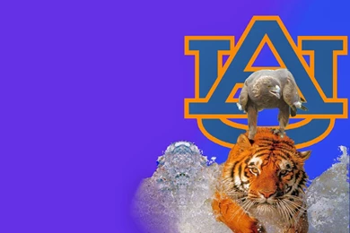 Auburn Football Wallpapers   Beautiful Desktop Wallpapers 2014