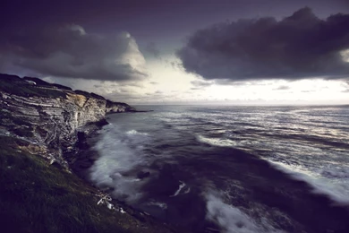 High Res Beautiful Rainforest Wallpapers