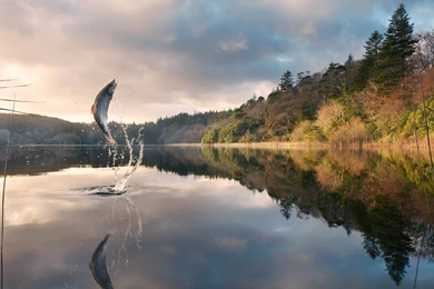 Fishing Desktop Pics Wallpapers 17478   Amazing Wallpaperz