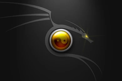 Dragon Symbol Moreover Dragon Symbol By Crimsonangelofshadow On ...