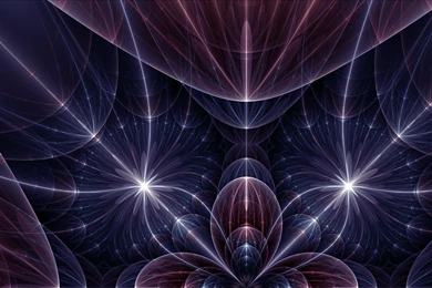 Abstract Flowers Purple Digital Art Backgrounds Impact Wallpapers ...