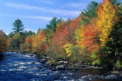 Autumn wallpaper backgrounds free 10 52160 HD Pictures