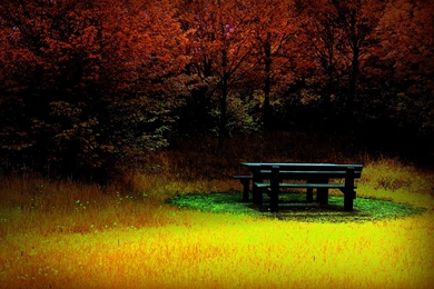 Fall Desktops – 1600×1200 High Definition Wallpaper, Backgrounds ...