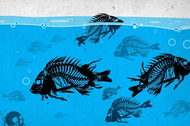 Fishing Desktop Wallpapers 1920x1200. Fish Desktop Backgrounds ...