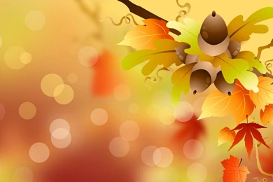 Autumn Wallpapers