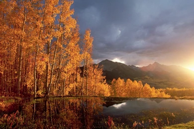 Autumn Backgrounds Desktop