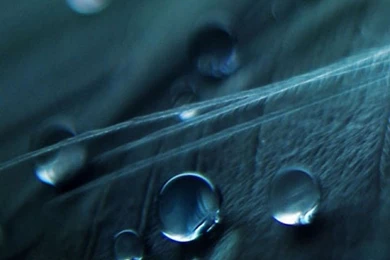 Samsung Galaxy S3 Wallpapers