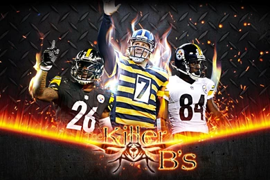 Steelers Wallpapers High Quality E3 » HD Wallpapers