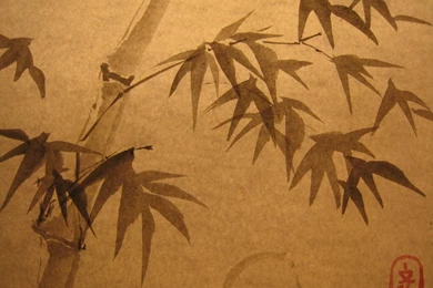 Dragonflies Sumi e By Jaemii On DeviantArt