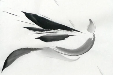 Sumi e: Flight By Catherinejao On DeviantArt