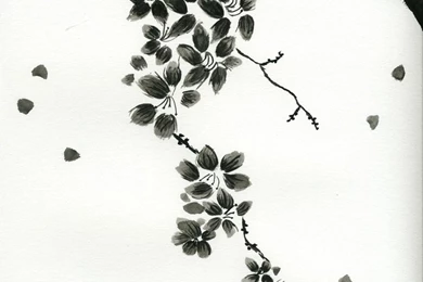 Sumi e Cherry Blossoms By SubtleShrimp On DeviantArt