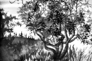 Sumi e: Foreboding By Catherinejao On DeviantArt