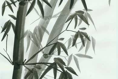 Bambous Sumi e By Nexus06 On DeviantArt