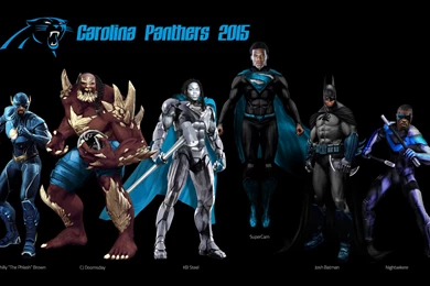 NFL Panthers Wallpapers HD. Free Desktop Backgrounds 2016 In ...