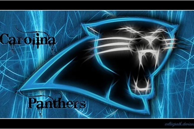Carolina Panthers Wallpapers 2013   Danasrhp.top