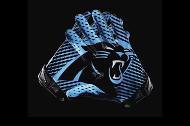 Carolina Panthers On Pinterest