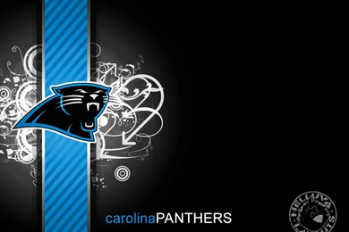 RePin Image: Carolina Panthers. Ã‚Â« On Pinterest