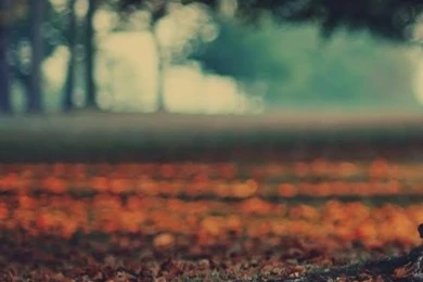 Home Screen Wallpapers Hd Wallpapers