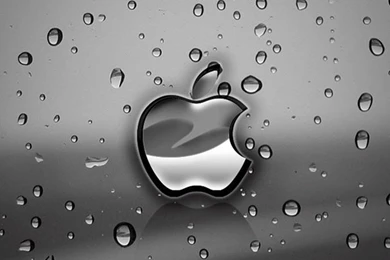 Apple Rain iPhone Wallpapers / IPod Wallpapers HD   Free Download