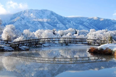 20 Winter Free Backgrounds :: Winter Nature Landscape Desktop ...