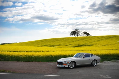 Datsun   The Car Wallpapers Mania Wiki   Wikia