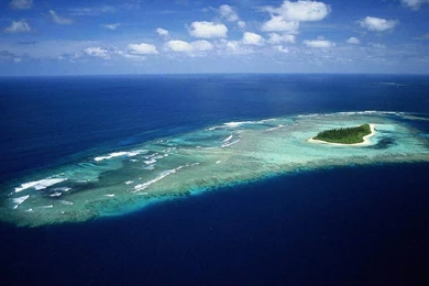 Pretty Nature Wallpapers