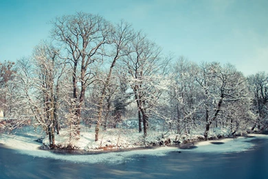 Pretty Nature Wallpapers