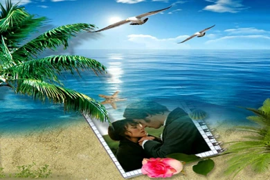 NATURE LOVE WALLPAPER   (