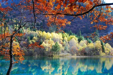 Top Mango Wallpapers Laptop Backgrounds Wallpapers