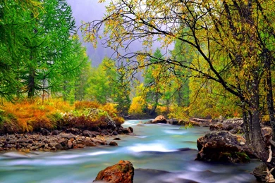 BEAUTIFUL NATURE WALLPAPER   (