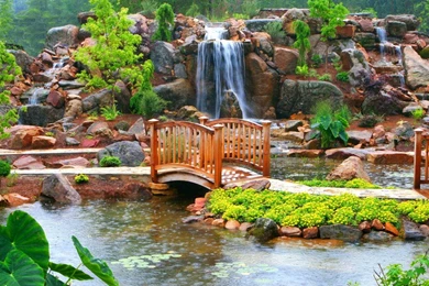 BEAUTIFUL NATURE WALLPAPER   (