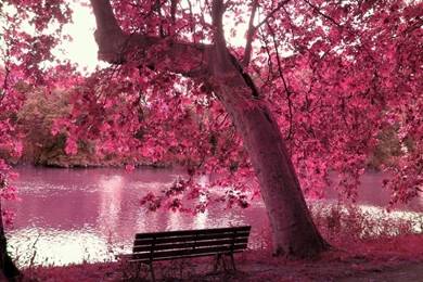 Bench Please!!! On Pinterest
