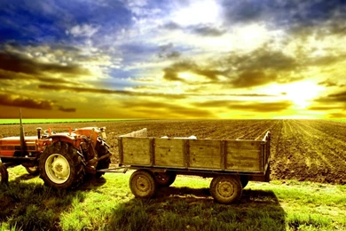 Tractor Trolley In Indian Farm HD Wallpapers