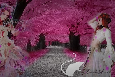 Artistic Emilie Autumn Wallpapers By Charzvamp Graphy Dcvle ...
