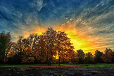 Autumn Sunset Colorful Trees Nature HD Wallpapers