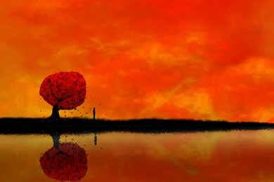 Autumn Fall Wallpapers Paint