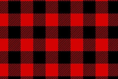 Lumberjack Plaid Red Black Flannel