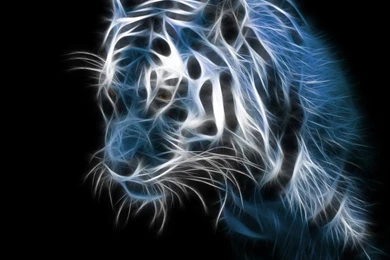 Android Phone Wallpapers   Free Wallpapers