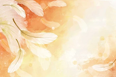 Vector Art Wallpapers And Vector Backgrounds Best Collection