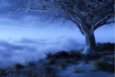 Wallpapers Hd For Android Phone