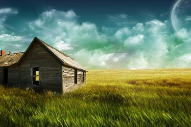 Android Phone Wallpapers