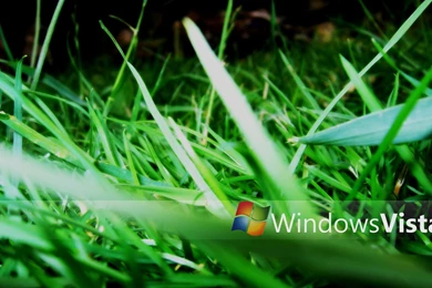 Windows Vista Wallpapers Set 13