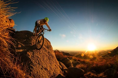 Fox Mountain Bike Wallpapers