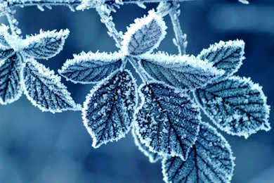 Name Wallpapers For Desktop Wallpapers Zone