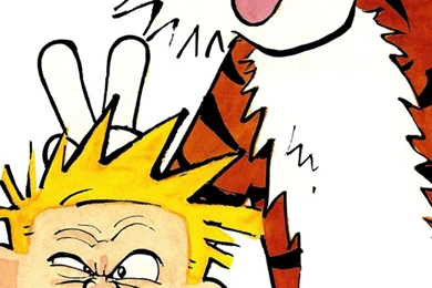 Calvin And Hobbes iPhone 5